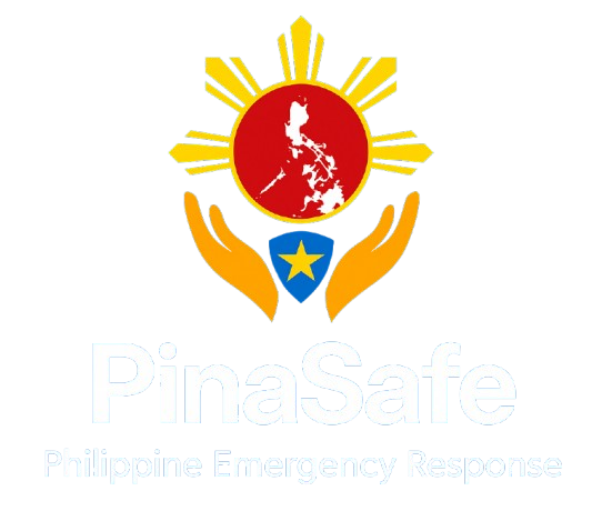 PinaSafe Logo